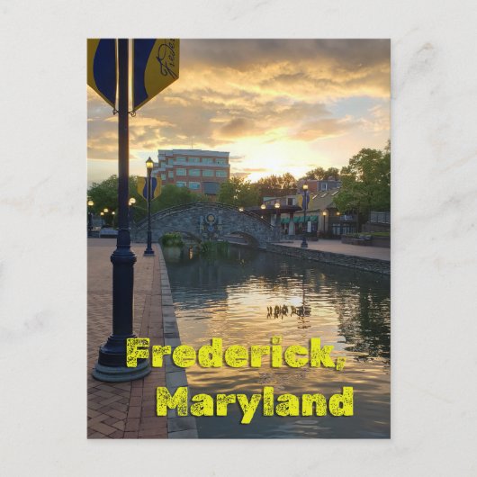 Carroll Creek Frederick Maryland #3 Briefkaart (Voorkant)