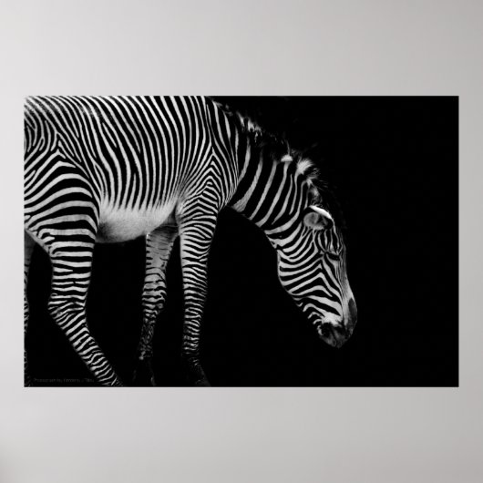 Carroslichaamtaal afdrukken poster (Voorkant)