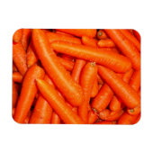 CARROSSERIE MAGNEET (Horizontaal)