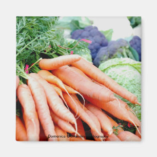 Carrot Magnet Magneet