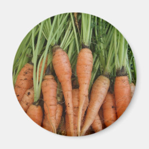Carrot Magnet Magneet