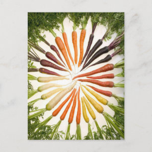 Carrots Colorful Garden Pattern Briefkaart