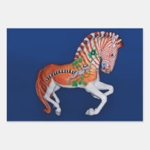 Carrousel Dier Quagga Zebra Foto Inpakpapier