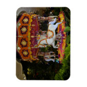 Carrousel floral Wynn Las Vegas Photo Magnet (Vertical)