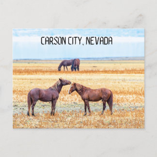 Carson City Nevada Souvenir Briefkaart