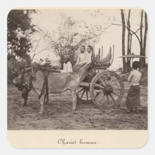 Cart, getrokken door twee oxen in Mandalay, Birma Vierkante Sticker