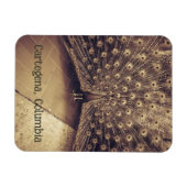 Cartagena, Colombia Magneet (Horizontaal)