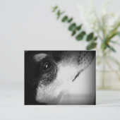 Cartão Postal: Dun Briefkaart (Staand voorkant)