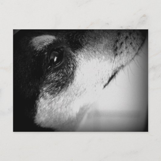 Cartão Postal: Dun Briefkaart (Voorkant)