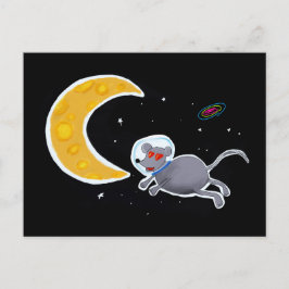 Cartão Postal - muis in de ruimte Briefkaart