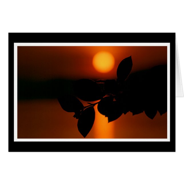 Carte (Devant horizontal)