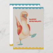 Carte フラットカード バースデー Birthday Card -Blue-footed Boody- (Devant / Derrière)