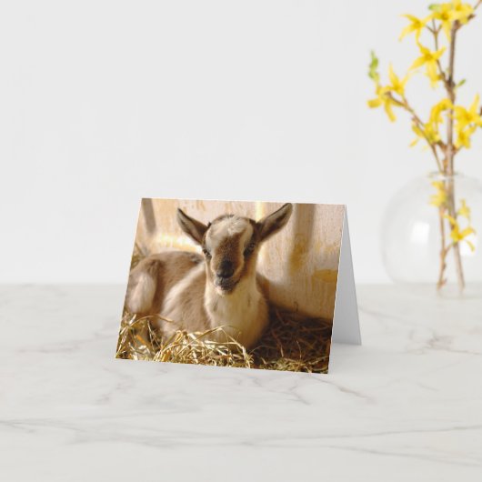 CARTE ヤギの赤ちゃん　二つ折りグリーティングカード カード (Fleur jaune)