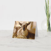 CARTE ヤギの赤ちゃん　二つ折りグリーティングカード カード (Devant)