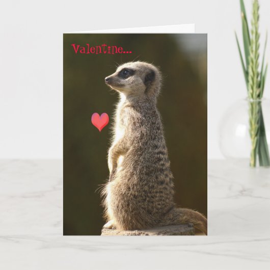 Carte 005 de Meerkat Valentine (Devant)
