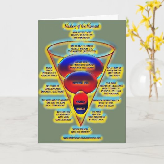 CARTE 041 DE MAÎTRISE (Fleur jaune)