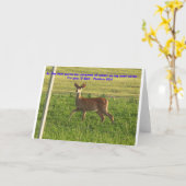 Carte 100_3149, Comme le cerf pantalon pour les flux d'e (Fleur jaune)