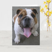 CARTE 10-04-05 003 (Fleur jaune)