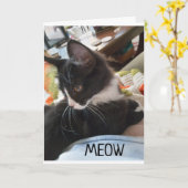 Carte 11e" SOUHAITS D'ANNIVERSAIRE DES DEUX CHIENS AMÉRI (Fleur jaune)