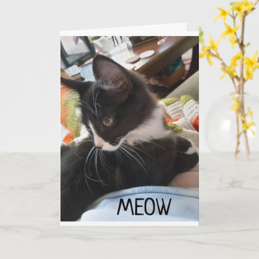 Carte 11e" SOUHAITS D'ANNIVERSAIRE DES DEUX CHIENS AMÉRI (Fleur jaune)