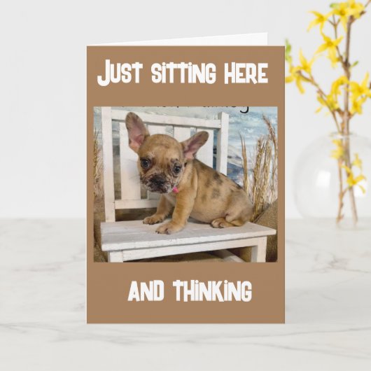 Carte **13e ANNIVERSAIRE** COMMENT EST-CE ARRIVÉ ? ? ? (Fleur jaune)