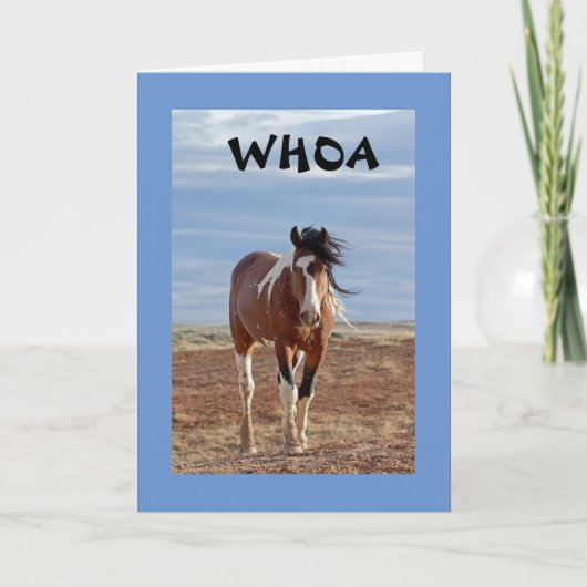 Carte **13e ANNIVERSAIRE** DU CHEVAL COMÉDIQUE (Devant)