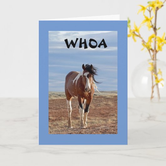 Carte **13e ANNIVERSAIRE** DU CHEVAL COMÉDIQUE (Fleur jaune)