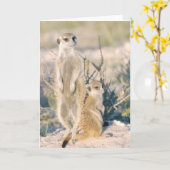 Carte 16 de KMP - pépite de garde d'enfants de (Fleur jaune)