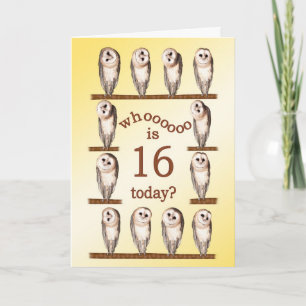 Carte 16e anniversaire, Curious owls card.
