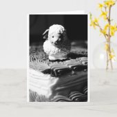 Carte 16ème Anniversaire de moutons (Fleur jaune)