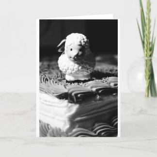 Carte 16ème Anniversaire de moutons