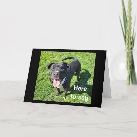 Carte **16ème anniversaire** HUMOUR D'UN CHIEN COOL (Devant)