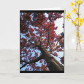 Carte ~ 18 d'automne (Fleur jaune)