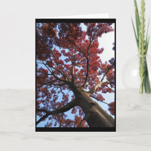 Carte ~ 18 d'automne