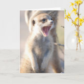 Carte 18 de KMP - pépite de baîllement (Fleur jaune)