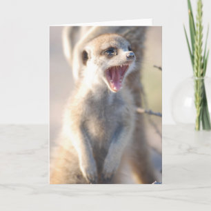 Carte 18 de KMP - pépite de baîllement