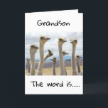 CARTE **18** VOUS ÊTES MAINTENANT ADOLESCENT **GRANDSON*<br><div class="desc">JEUX ANNIVERSAIRE ***GRANDSON**** MERCI D'AVOIR ARRÊTÉ PAR L'UN DE MES HUIT MAGASINS !</div>