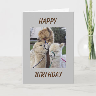 Carte **18e** SOUHAITS D'ANNIVERSAIRE - SPÉCIAL POUR LA
