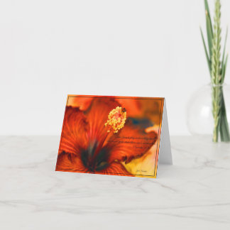 Carte 18h24 de flamber Hibiscus~Friendship/Proverbs