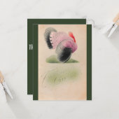 Carte 1907 Vintage Thanksgiving rose et gris Turquie (Devant/Arrière en situation)