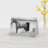 Carte 1911 Show Horse (Fleur jaune)
