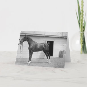 Carte 1911 Show Horse
