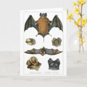 Carte 19e impression de chaume C. (Fleur jaune)