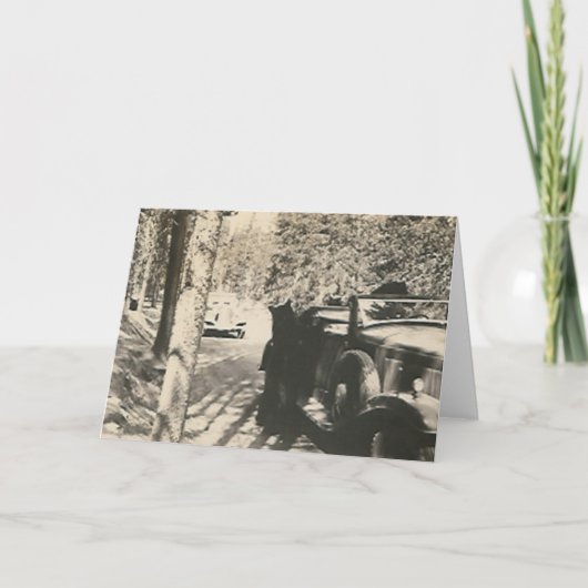 Carte 1 en 2 bears at car (Devant)
