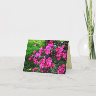 CARTE 1CARTE DE SALUT DE BLOSSOMS ROUGE