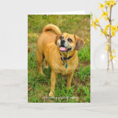 Carte 1HCD_3930, glorydaysphotography (Fleur jaune)