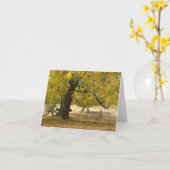 Carte 2006 oct. 037 (Fleur jaune)