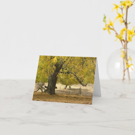 Carte 2006 oct. 037 (Fleur jaune)