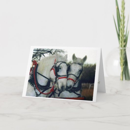 Carte 2010 de vacances (Devant)