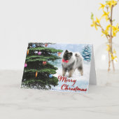 Carte 2019 Keeshond Collectors Christmas Card (Fleur jaune)